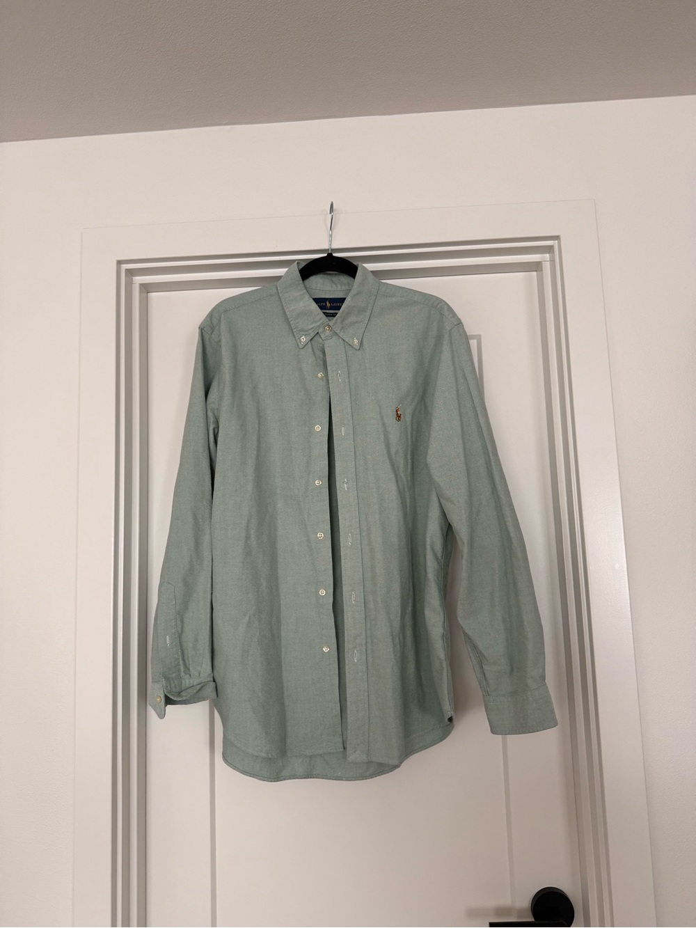 Polo by Ralph Lauren Sage Green Long-Sleeve Button-Down Shirt